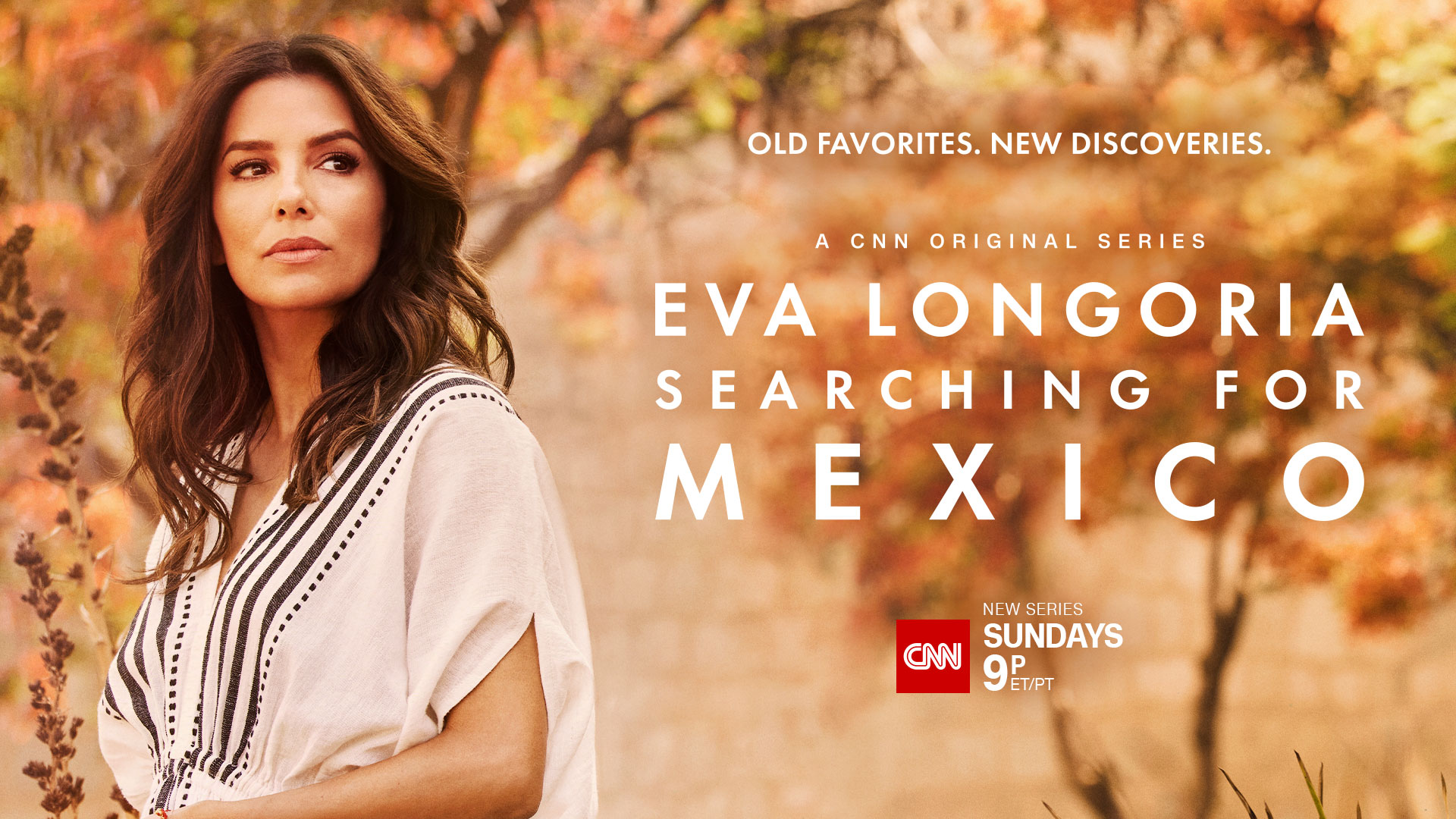 CNN_ELSFM_KA_1920x1080_sundays9p